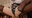 ＯかＰのゆま😇の商品
