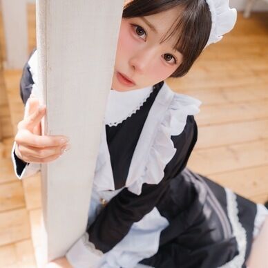 Secret Maid
