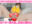 広瀬ゆう/ Yu Hirose＋ALL FANSの商品
