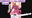 ★EtoseteRa★の商品