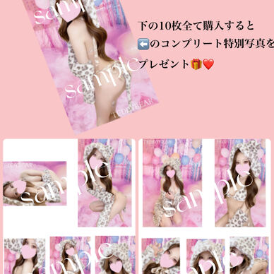 豹柄ネコ１１枚
