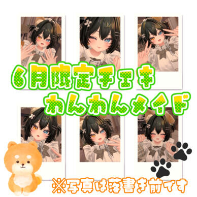 【3枚セット販売ページ】6月限定チェキ「わんわんメイド」