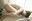 AsukaWatanabe / A Body