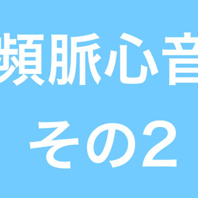 安静時の頻脈心音　その2