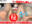 広瀬ゆう/ Yu Hirose＋ALL FANSの商品