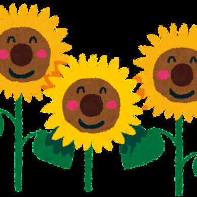 🌻 ６枚set / 2026夏ランダムチェキ 🌻