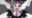 jun2009rの〇〇〇クリエイトの商品