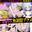 ※感度MAX無限アクメ💦ぬるぬるオナニー絶頂痙攣💜【紫鈴ルナ】
