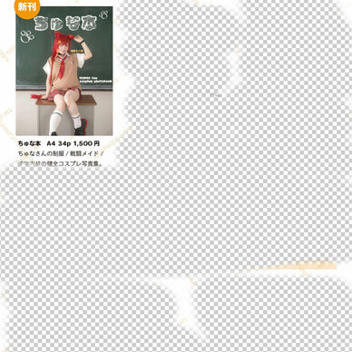 発送品【C108】ちゅな本