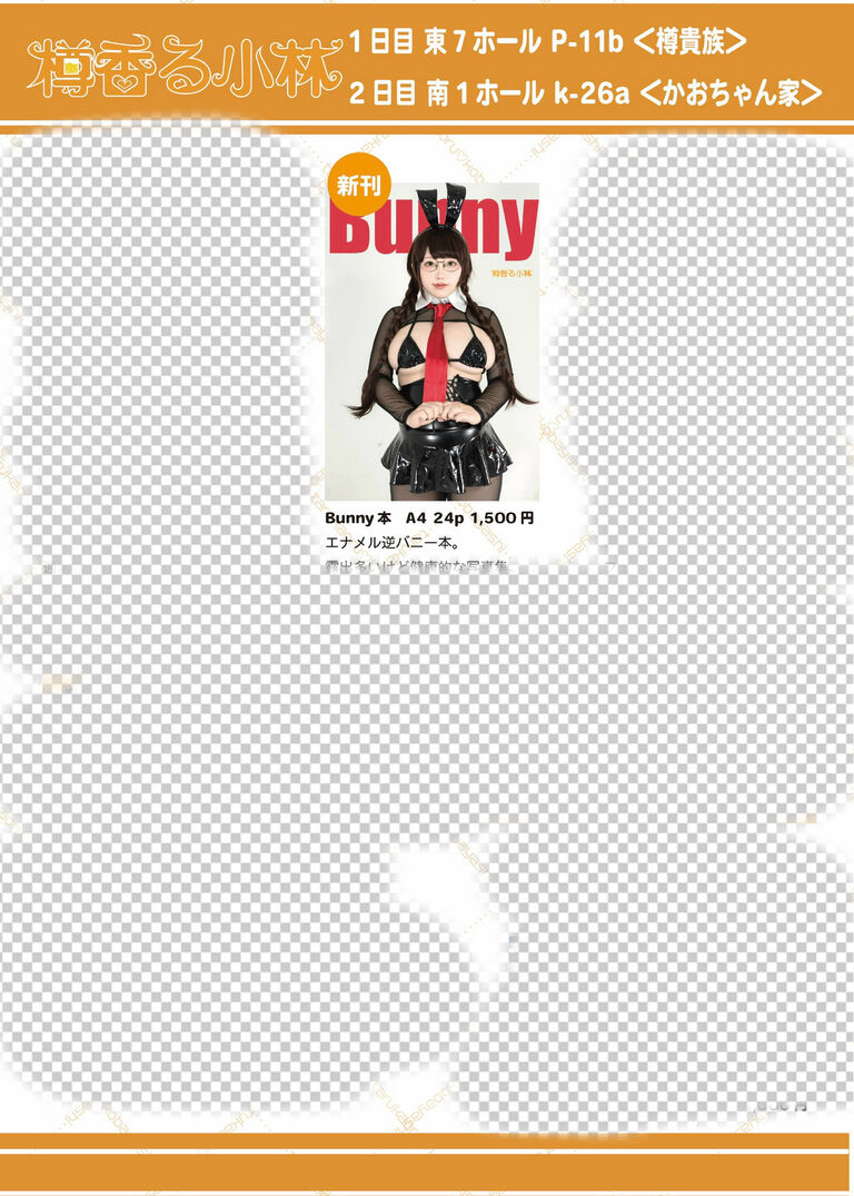 発送品【C108】Bunny本