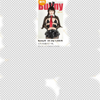 発送品【C108】Bunny本