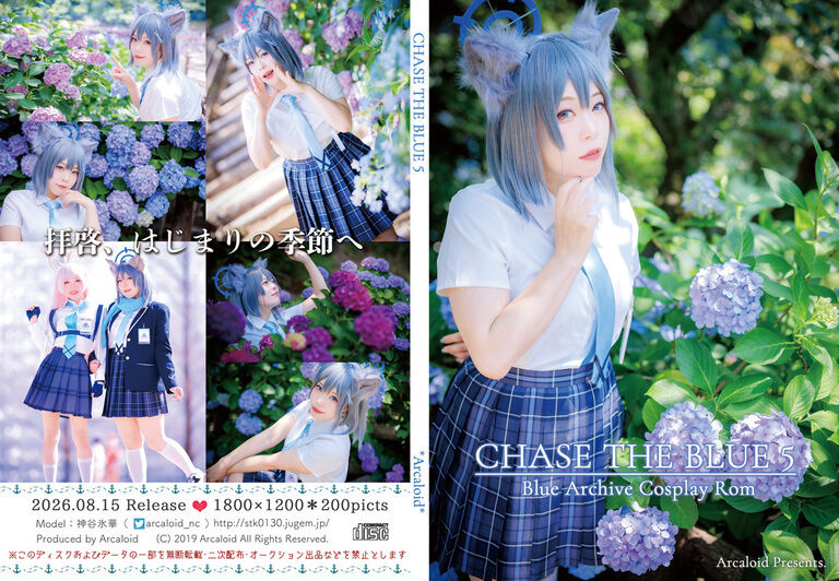 CHASE THE BLUE 5