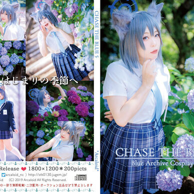 CHASE THE BLUE 5