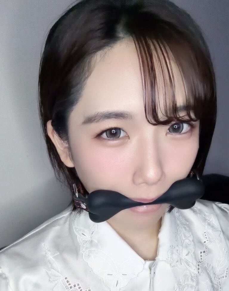 ビットギャグ🐶🐾