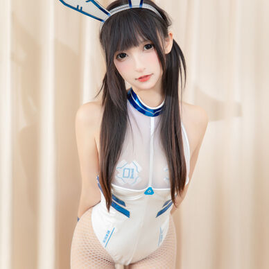 電脳バニー