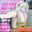 🔞ALL980円全12種動画確定🔞超人気の中出し＆潮吹き動画オンリー💙激選激エロ激お得くじ⭐【星凪ステラ】