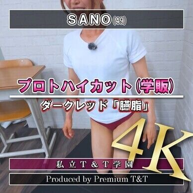 『学販』臙脂ハイカットでペンギン・アザラシ歩き【SANO】