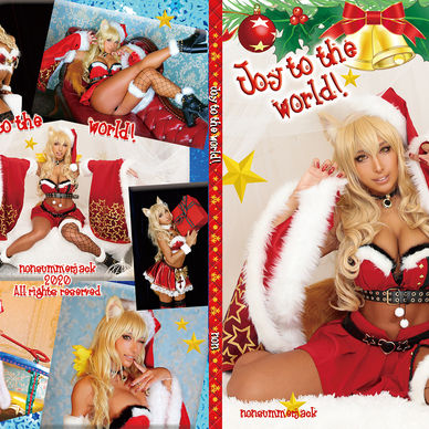 Joy to the world! 動画入り