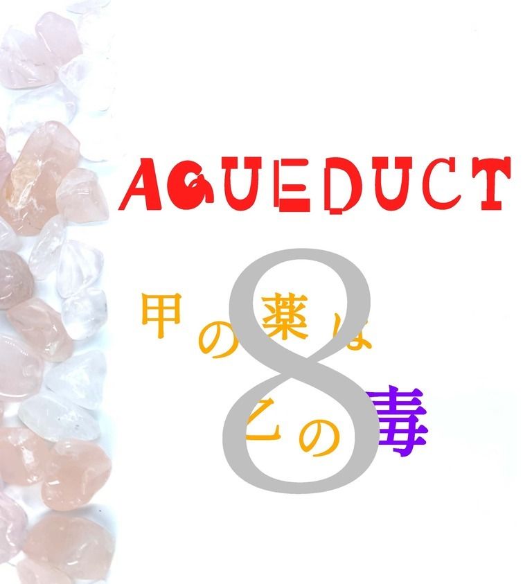 AQUEDUCT 甲の薬は乙の毒 8