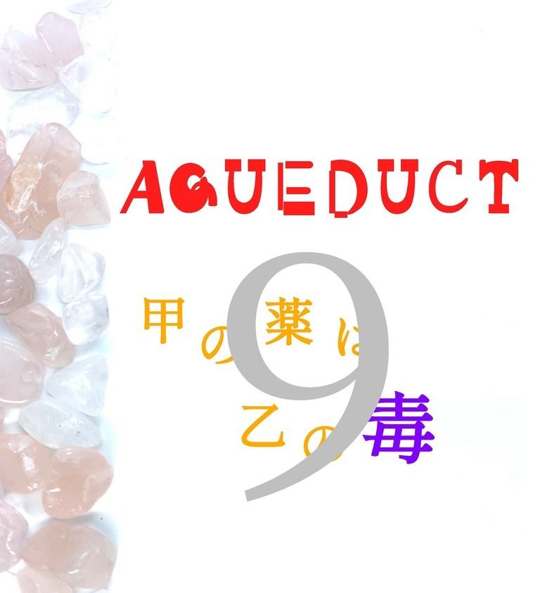 AQUEDUCT 甲の薬は乙の毒 9