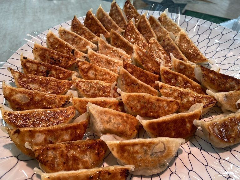 おとりよせ宇都宮餃子🥟肉汁餃子ようちゃん