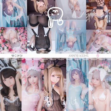 🐰SHEER BUNNY🐰