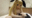 kigurumi.hの商品