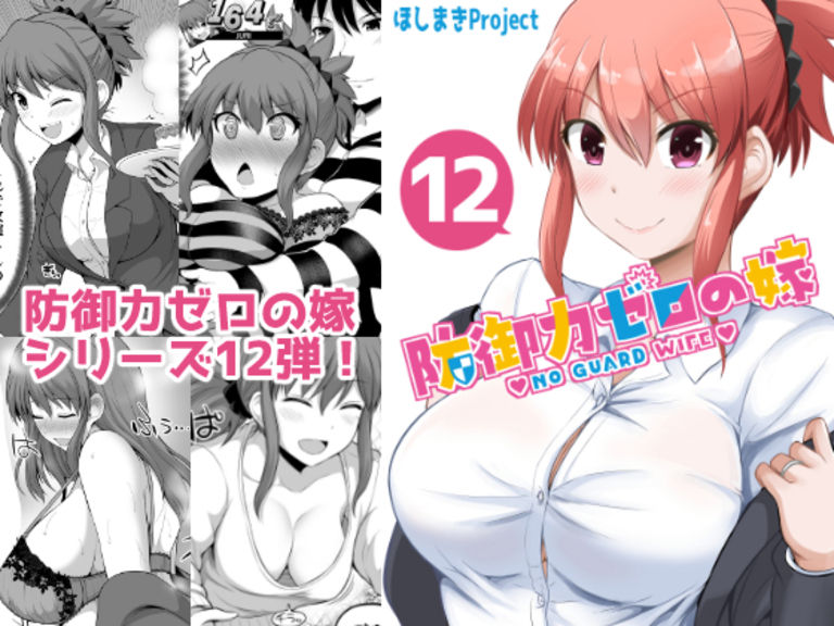 防御力ゼロの嫁【１２】