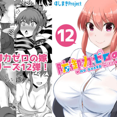 防御力ゼロの嫁【１２】