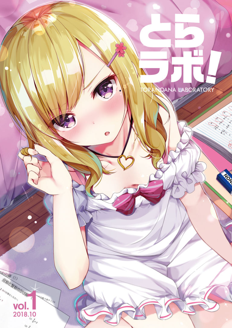 虎の穴ラボの薄い本。