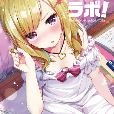 虎の穴ラボの薄い本。