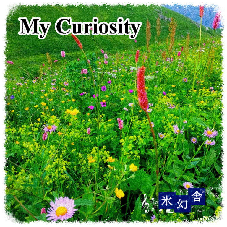 My Curiosity