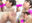 オチン×ン大好き☆【充希】会って15分ジュッポジュポ!