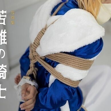 ゆめDIDシリーズ　苦難の騎士