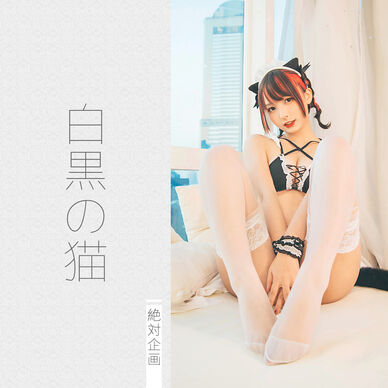 【2,000円OFF】白黒の猫