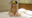 kigurumi.hの商品