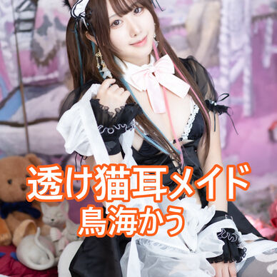 【写真集】透け猫耳メイド【DL版】