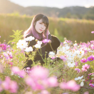 秋桜　ポートレート　ミニROM