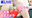 広瀬ゆう/ Yu Hirose＋ALL FANSの商品