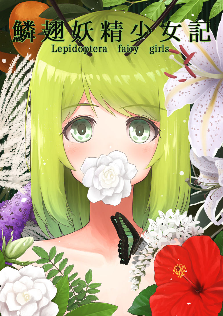 鱗翅妖精少女記
