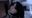 Dead Body Shop 傀儡堂™の商品