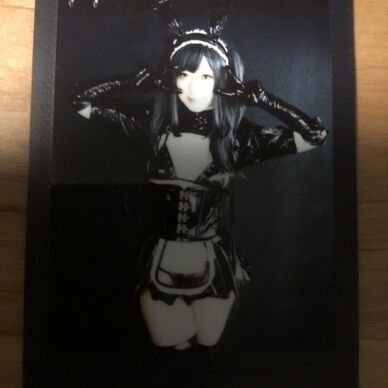 ポラロイド1