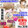 広瀬ゆう/ Yu Hirose＋ALL FANSの商品