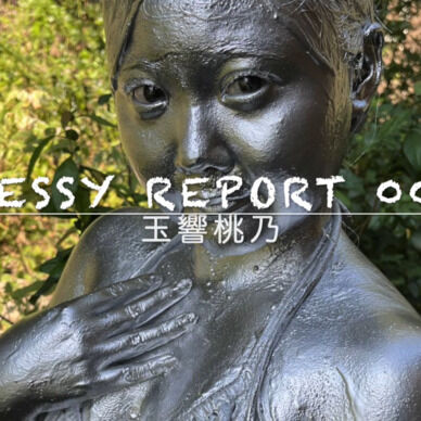 【動画】MessyReport002
