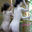 第2弾!!【みさき@温泉女子会】期間限定・デジタル写真集211枚☆おまけ特典動画付き♪