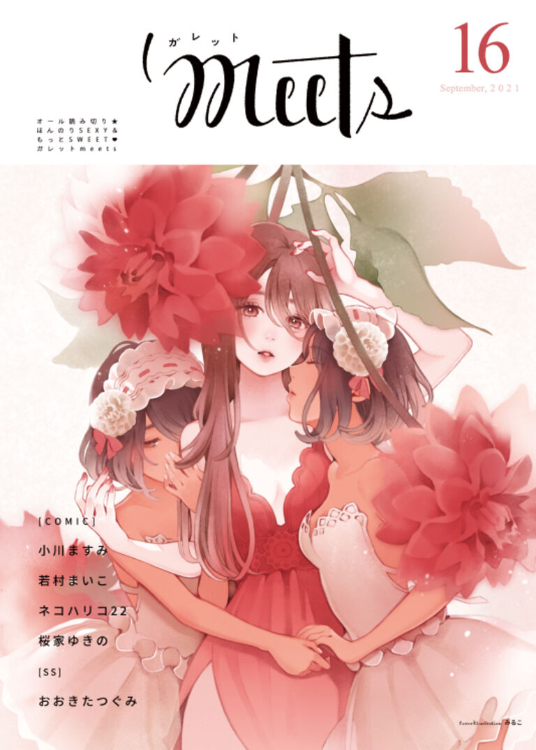 ガレットmeets16 PDF版