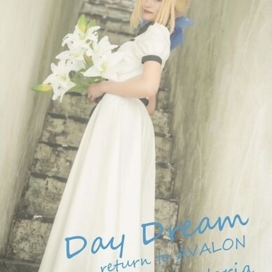 Fate /staynight アルトリア写真集「Day Dream Return to AVALON」