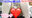 広瀬ゆう/ Yu Hirose＋ALL FANSの商品