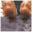 snowysoftfeetの商品
