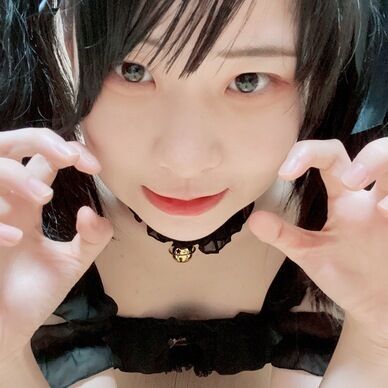 ねこ